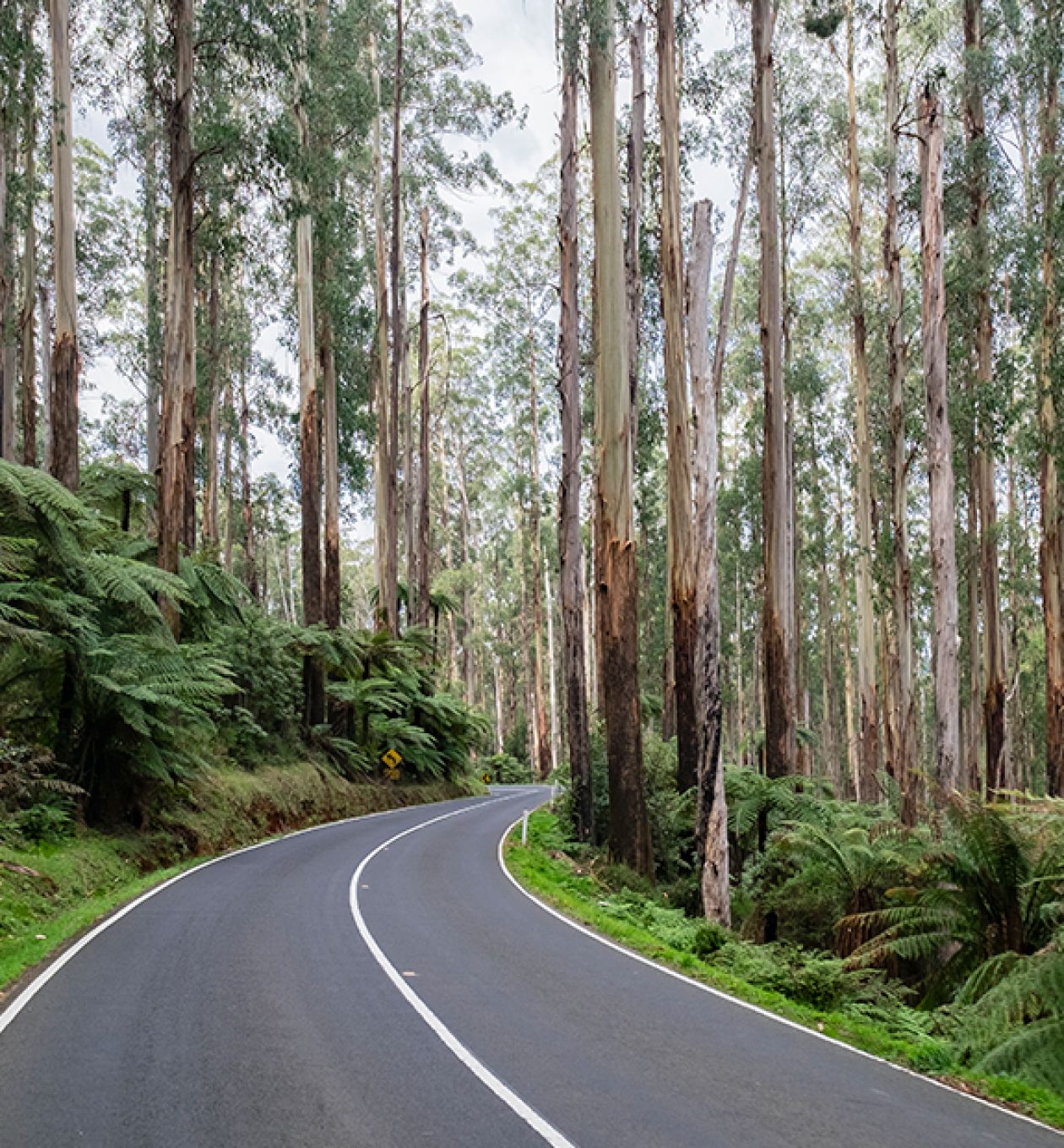 Black spur route details