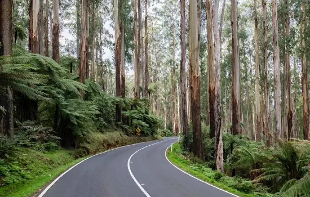 Countryside road